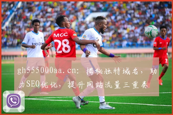 gh555000aa.cn：揭秘独特域名，助力SEO优化，提升网站流量三重奏
