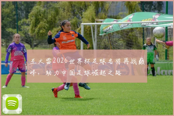 王大雷2026世界杯足球名将再战巅峰，助力中国足球崛起之路
