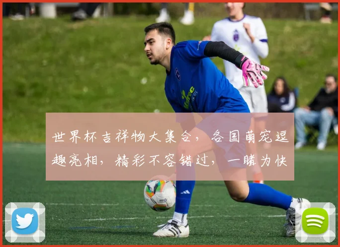 世界杯吉祥物大集合，各国萌宠逗趣亮相，精彩不容错过，一睹为快