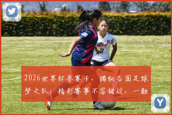 2026世界杯参赛卡，揭秘各国足球梦之队，精彩赛事不容错过，一触即发