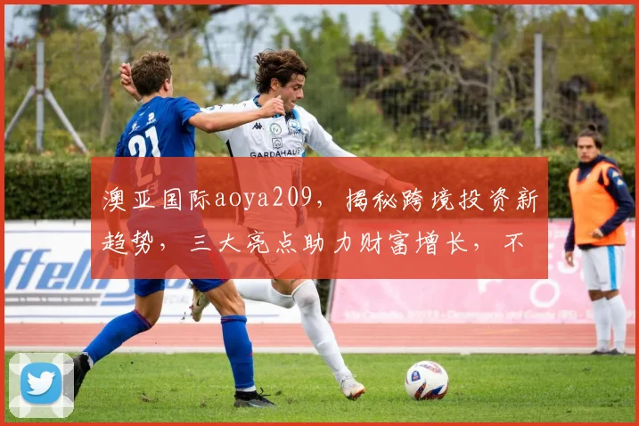 澳亚国际aoya209，揭秘跨境投资新趋势，三大亮点助力财富增长，不容错过