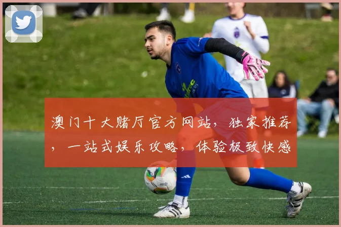 澳门十大赌厅官方网站，独家推荐，一站式娱乐攻略，体验极致快感，不容错过