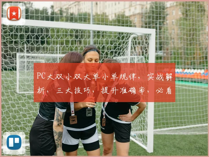 PC大双小双大单小单规律，实战解析，三大技巧，提升准确率，必看攻略