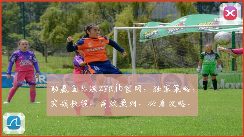 助赢国际版zygjb官网，独家策略，实战教程，高效盈利，必看攻略，三大优势，助力成功
