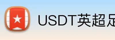 USDT英超足球投注 logo